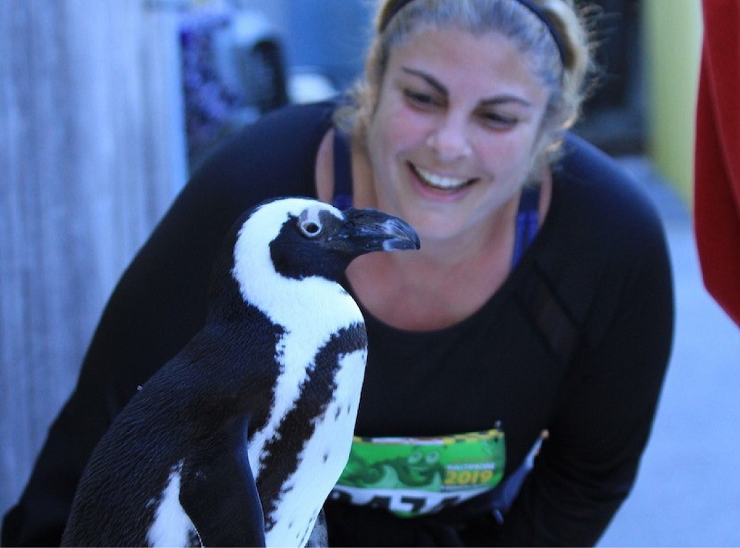 Penguin-01